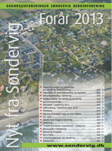 Sondervig Nyt 2013 forside